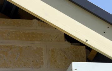 soffit repair Crawton